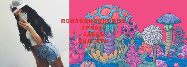 индика Балабаново