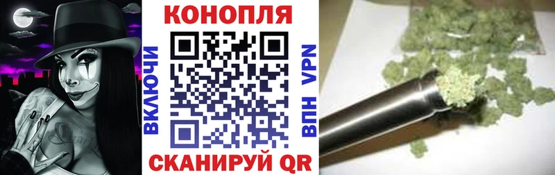 Канабис план Красный Кут